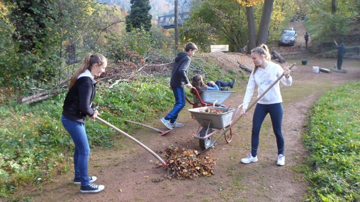 Platzarbeit am 26.10.2013 (01)