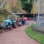 Arbeitseinsatz am Sportplatz Langenbrand (02)