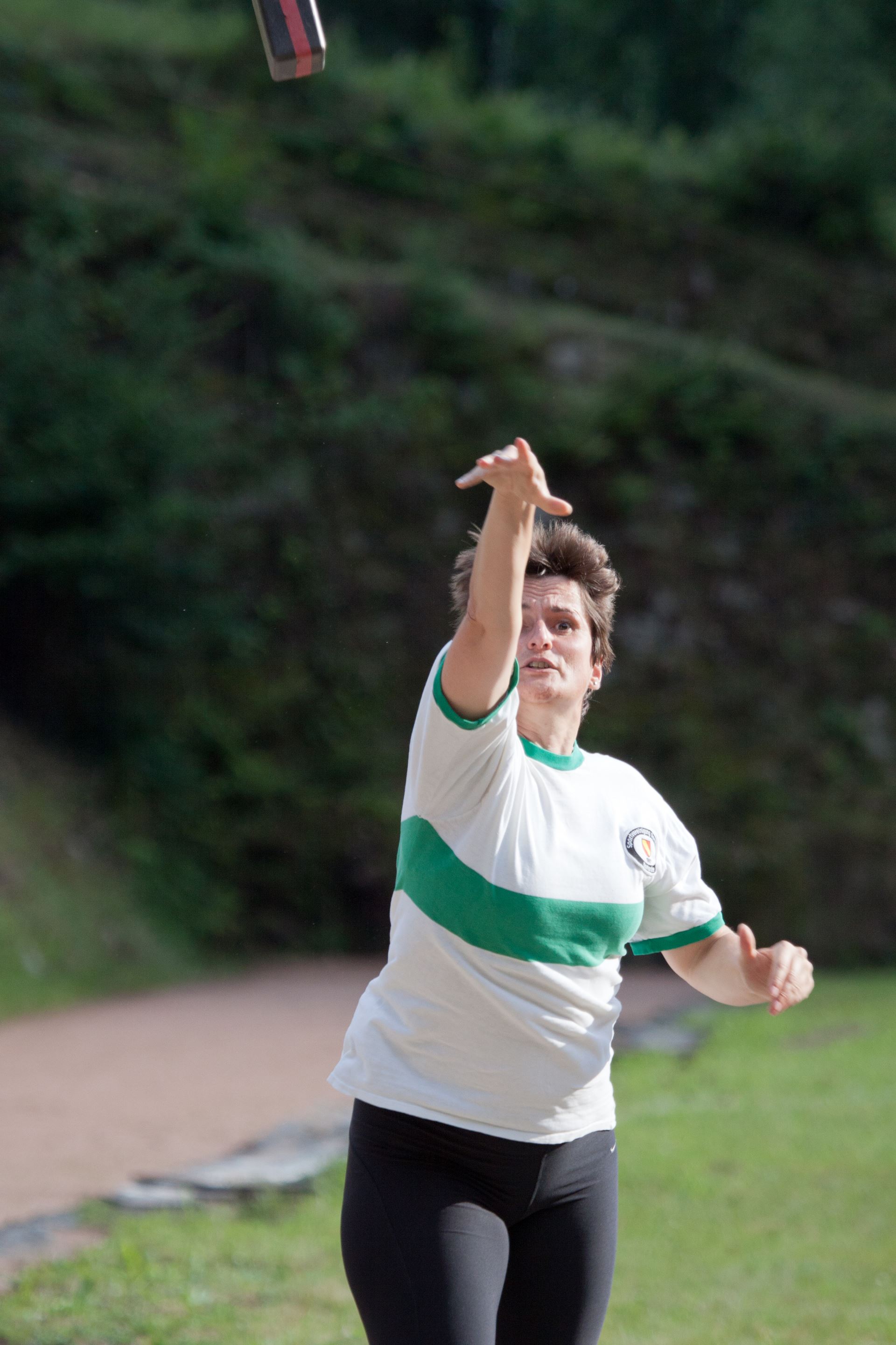 Rasenkraftsport, Badische Meisterschaften 2011 (152)
