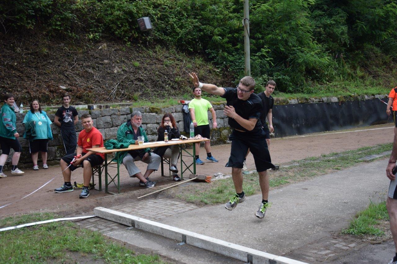 Rasenkraftsport, Badische-Meisterschaften 2014 (27)