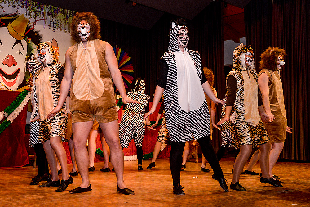 Fasentsitzung in Langenbrand 2013 (032)