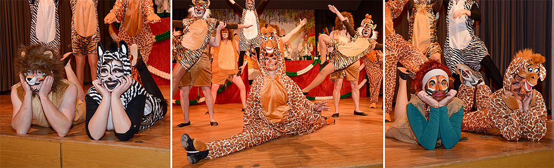 Fasentsitzung in Langenbrand 2013 (041)