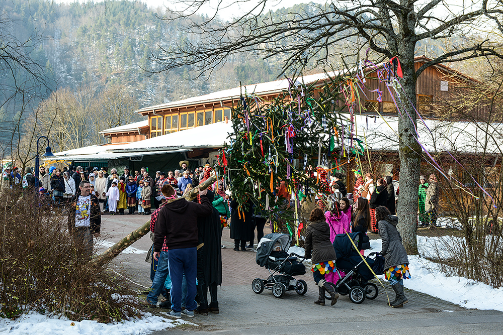 Narrenbaumstellen 2013 (15)