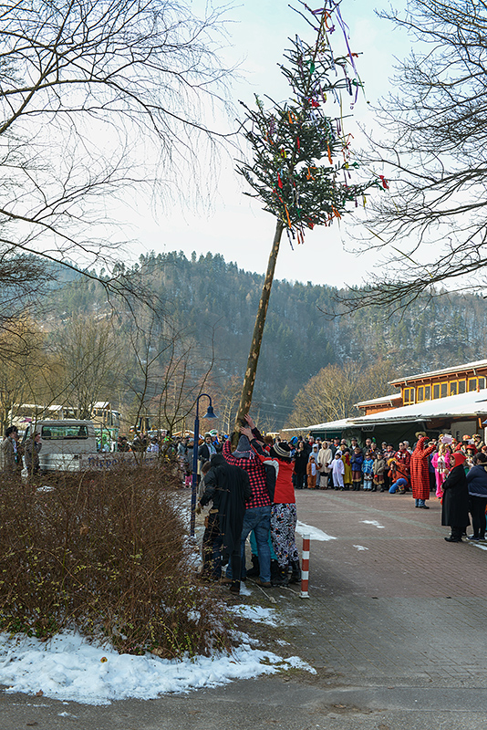 Narrenbaumstellen 2013 (16)