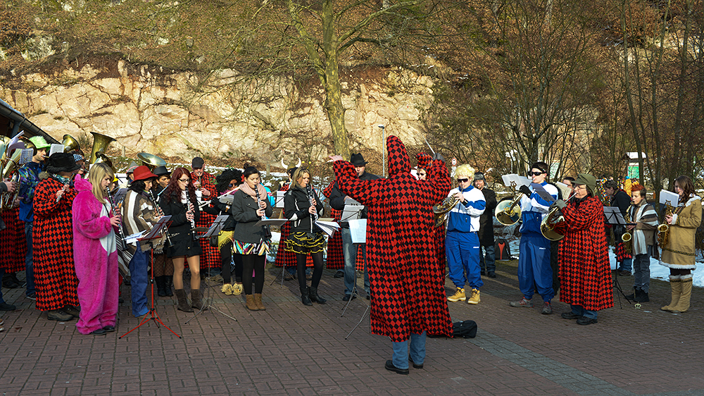 Narrenbaumstellen 2013 (19)