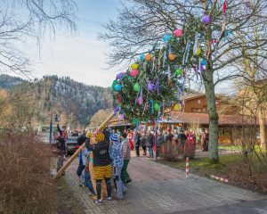 Narrenbaumstellen 2015 (06)