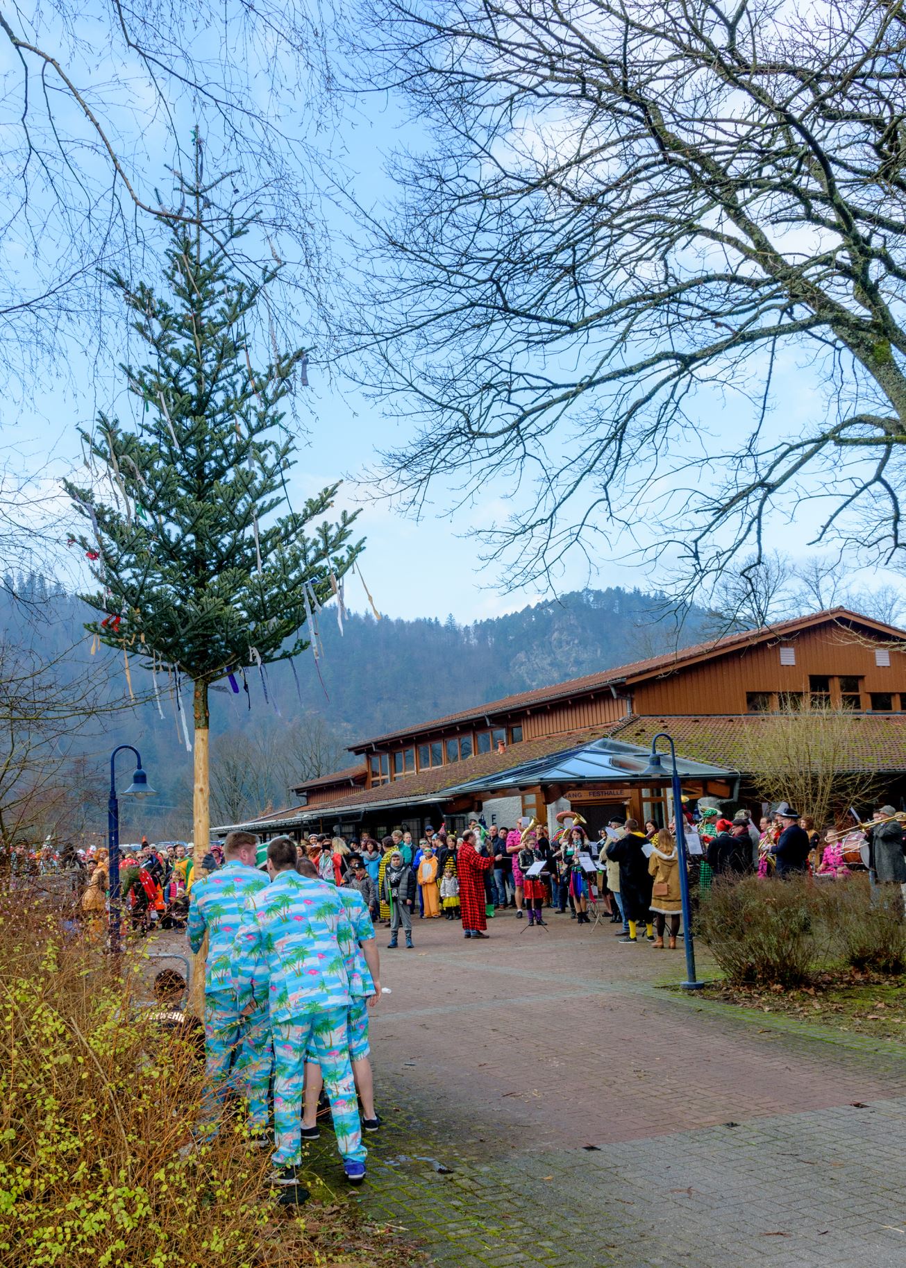 Narrenbaumstellen 2018 (06)